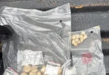 Three Arrested in Addo Drug Dealing Operation as Police Seize Mandrax and Tik Three Arrested in Addo Drug Dealing Operation as Police Seize Mandrax and Tik