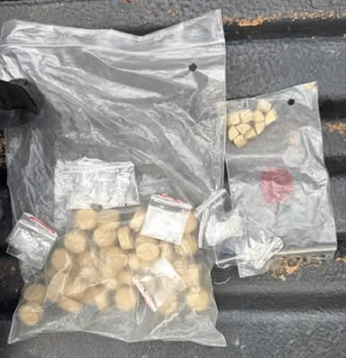 737000501_1454093470075622_145484124371862954_n Three Arrested in Addo Drug Dealing Operation as Police Seize Mandrax and Tik