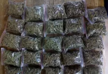 Community Tip-Off Triggers R25,000 Dagga Seizure in Bloemfontein CBD