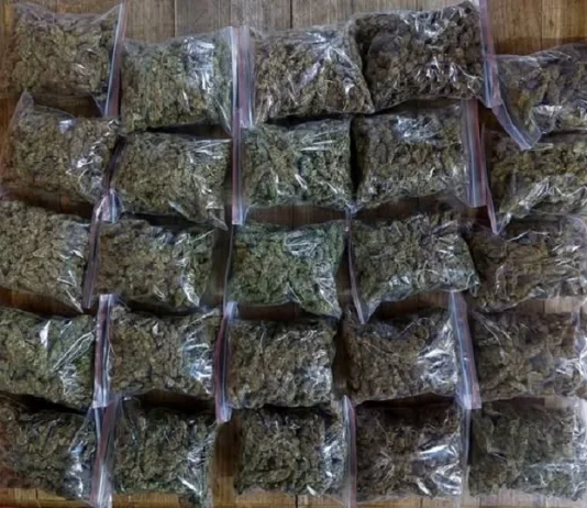 Community Tip-Off Triggers R25,000 Dagga Seizure in Bloemfontein CBD