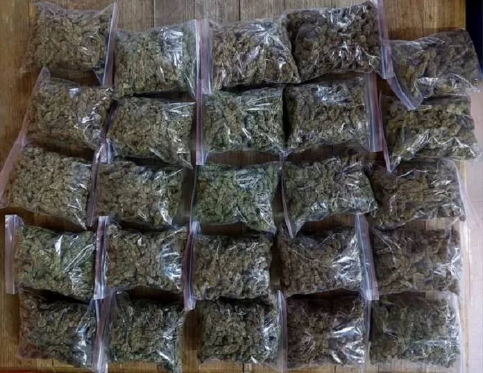 737543593_1452448680240101_2205324911129501773_n Community Tip-Off Triggers R25,000 Dagga Seizure in Bloemfontein CBD