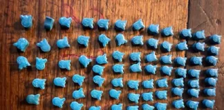 Cape Town Drug Bust: Two Arrested in Long Street Ecstasy Seizure Cape Town Drug Bust: Two Arrested in Long Street Ecstasy Seizure