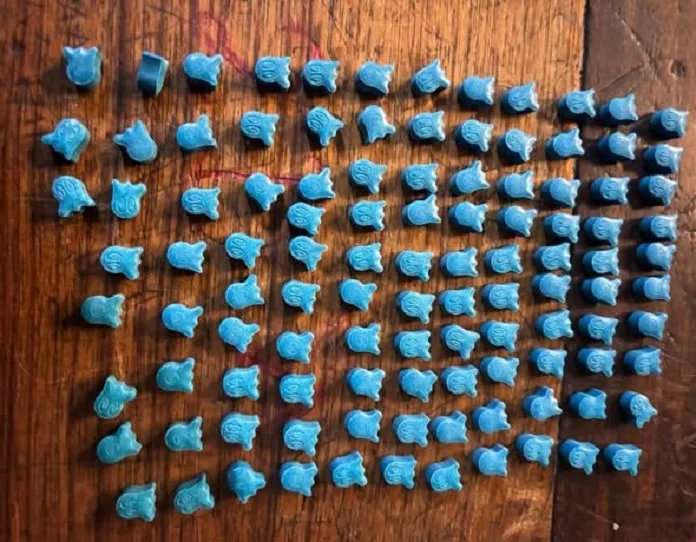 739313266_3218507698351762_6943790876576565815_n Cape Town Drug Bust: Two Arrested in Long Street Ecstasy Seizure