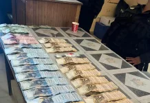 Komaggas Drug Bust: SAPS Seizes Mandrax and Tik in Operation Shanela II Crackdown