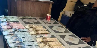 Komaggas Drug Bust: SAPS Seizes Mandrax and Tik in Operation Shanela II Crackdown Komaggas Drug Bust: SAPS Seizes Mandrax and Tik in Operation Shanela II Crackdown