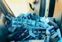 Polokwane Illicit Cigarette Bust Nets R35,000 in Contraband Tobacco