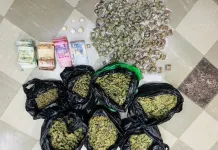 Prieska Drug Arrest: Suspect Apprehended After R8,000 Dagga Seizure Prieska Drug Arrest: Suspect Apprehended After R8,000 Dagga Seizure