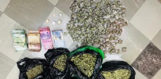 Prieska Drug Arrest: Suspect Apprehended After R8,000 Dagga Seizure Prieska Drug Arrest: Suspect Apprehended After R8,000 Dagga Seizure