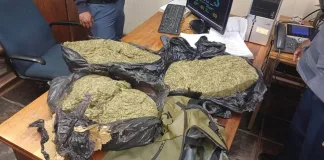 Drug Dealing Arrest in Jacobsdal: 40-Year-Old Suspect to Face Magistrate’s Court After Dagga Seizure Drug Dealing Arrest in Jacobsdal: 40-Year-Old Suspect to Face Magistrate’s Court After Dagga Seizure