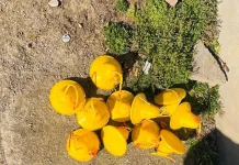 Two Arrested for Possession of Explosives in Meloding Following Intelligence-Led Police Operation