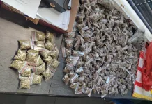 Early Morning Drug Bust in Kakamas Leads to Arrest of Local Dealer and R20,000 Dagga Seizure Early Morning Drug Bust in Kakamas Leads to Arrest of Local Dealer and R20,000 Dagga Seizure