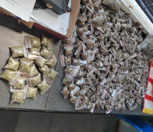 Early Morning Drug Bust in Kakamas Leads to Arrest of Local Dealer and R20,000 Dagga Seizure Early Morning Drug Bust in Kakamas Leads to Arrest of Local Dealer and R20,000 Dagga Seizure