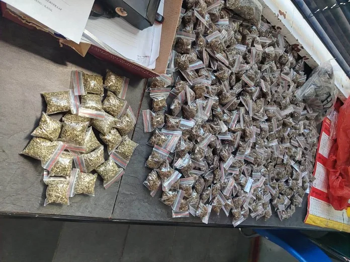 Early Morning Drug Bust in Kakamas Leads to Arrest of Local Dealer and R20,000 Dagga Seizure