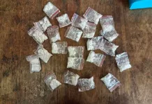 Major Lephalale Drug Arrest: 48-Year-Old Foreign National Seized With R10,000 Worth of Meth and Cat