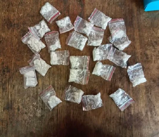 Major Lephalale Drug Arrest: 48-Year-Old Foreign National Seized With R10,000 Worth of Meth and Cat