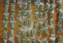 Bloemfontein Dagga Dealing Bust: Two Arrested in Willows as Police Seize R77,400 in Cannabis Bloemfontein Dagga Dealing Bust: Two Arrested in Willows as Police Seize R77,400 in Cannabis