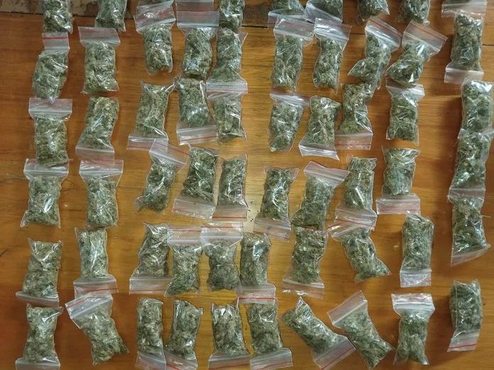 752786824_1468630301955272_3261970307695083956_n Bloemfontein Dagga Dealing Bust: Two Arrested in Willows as Police Seize R77,400 in Cannabis