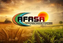 KZN Sugar Farmers Face Severe Cane Cutter Shortages Amid Labor Exodus KZN Sugar Farmers Face Severe Cane Cutter Shortages Amid Labor Exodus