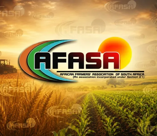 KZN Sugar Farmers Face Severe Cane Cutter Shortages Amid Labor Exodus KZN Sugar Farmers Face Severe Cane Cutter Shortages Amid Labor Exodus