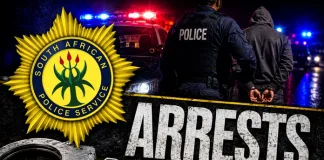 Eastern Cape Illegal Immigration Protests Spark 208 Arrests as Premier Condemns Vigilantism