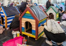 Grab a paintbrush: CapeGate’s Dogbox Project needs you this Mandela Day Grab a paintbrush: CapeGate’s Dogbox Project needs you this Mandela Day