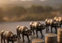 The buffalo effect: How one R100 'clipper' could be worth more than R200,000. image supplied by PR company for Atlas Finance