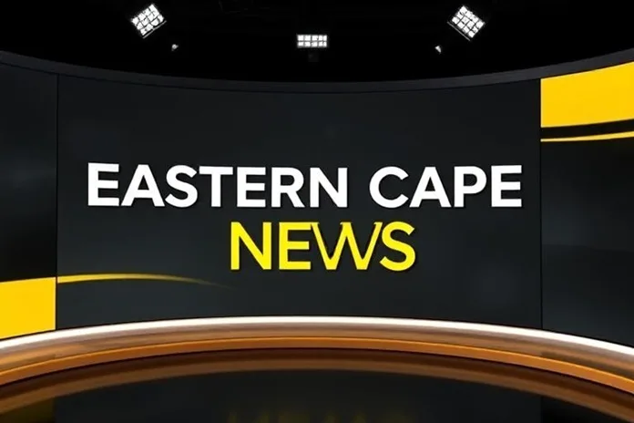 Eastern-Cape-News-24 National Treasury Suspends Funding to Eastern Cape Municipalities Amid Financial Mismanagement