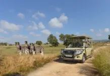 Why the Bothongo Rhino & Lion Nature Reserve Is the Perfect Winter Holiday Adventure for the Whole Family Bothongo Rhino & Lion Nature Reserve