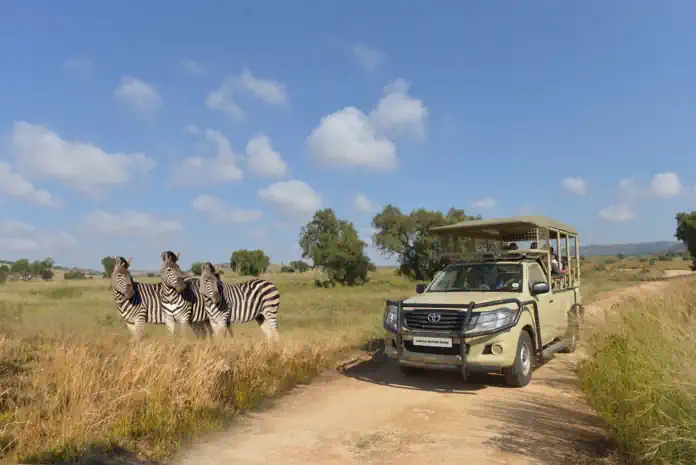 Why the Bothongo Rhino & Lion Nature Reserve Is the Perfect Winter Holiday Adventure for the Whole Family Why the Bothongo Rhino & Lion Nature Reserve Is the Perfect Winter Holiday Adventure for the Whole Family