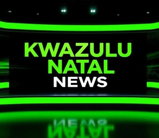 KZN Premier Thami Ntuli Warns Weekly Anti-Immigration Marches Threaten Provincial Stability