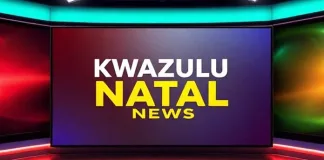 South Africa Public Health Crisis: Health Ombud Report Highlights Systemic Staff Shortages Following KwaZulu-Natal Healthcare Worker Deaths