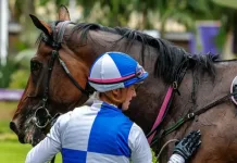 How careful training makes for a happy, healthy horse Lady of distinction and Rachel Venniker - Canidese Lenferna