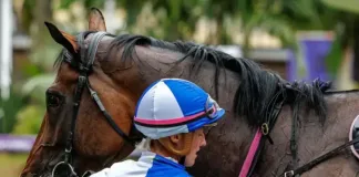 How careful training makes for a happy, healthy horse