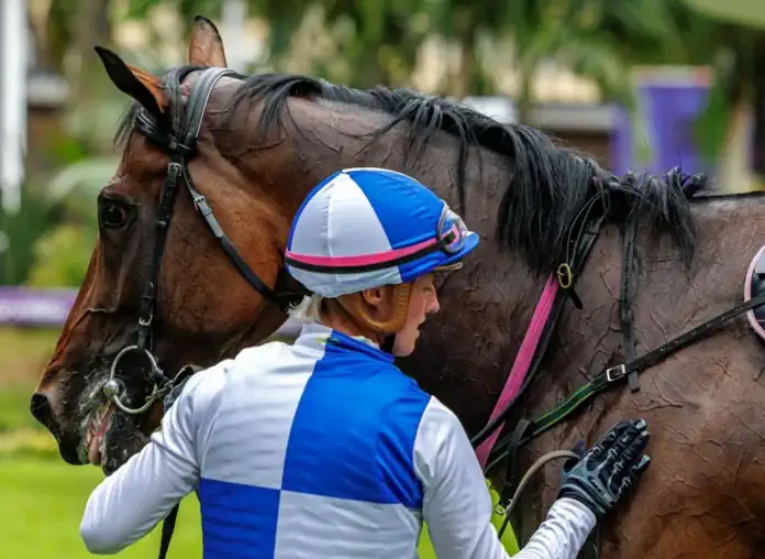 How careful training makes for a happy, healthy horse How careful training makes for a happy, healthy horse