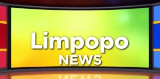 Limpopo Service Delivery: Mafarafara Residents Build Makeshift Bridge Over Tubatse River