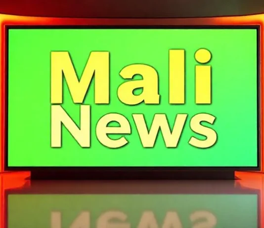 Mali Convoy Ambush in Gao Region Leaves At Least 50 Soldiers Dead Amid Rising Separatist Attacks Mali Convoy Ambush in Gao Region Leaves At Least 50 Soldiers Dead Amid Rising Separatist Attacks