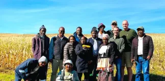 Eastern Cape maize project demonstrates the power of partnerships in advancing rural development