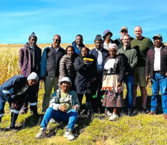 Eastern Cape maize project demonstrates the power of partnerships in advancing rural development Mcambalala Maize Project team with some of the local community members and stakeholders