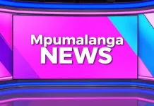 Mpumalanga’s Most Wanted Suspect Fatally Wounded During Shootout With Police in Mayflower
