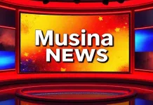 Inter-Ministerial Committee Assesses Musina Repatriation of Undocumented Foreign Nationals