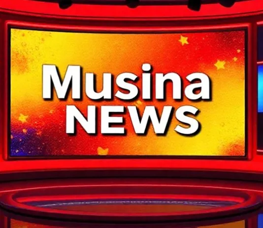 Inter-Ministerial Committee Assesses Musina Repatriation of Undocumented Foreign Nationals