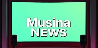 Beitbridge Repatriation Operation Accelerates as Musina Centre Processes Thousands of Illegal Immigrants