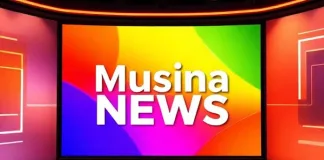 Operations Scaled Down at Musina Temporary Repatriation Centre for Illegal Migrants