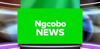Ngcobo Protests Escalate: Residents Demand Removal of Dr AB Xuma Municipality Manager Khathutshelo Mulaudzi