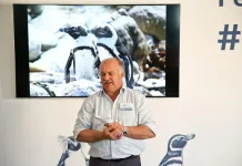 Think Ocean Conservation Is Only for Marine Biologists? Think Again! Wilfred Chivell - CEO, Marine Dynamics Shark and Whale Tours; Marine Dynamics Academy; Founder, Dyer Island Conservation Trust and African Penguin and Seabird Sanctuary