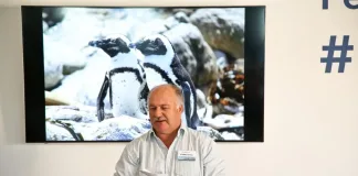 Think Ocean Conservation Is Only for Marine Biologists? Think Again!