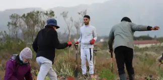 Nature Connect marks 25 years of building pathways between people, nature and opportunity