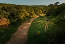 Rhino Sands Game Drive