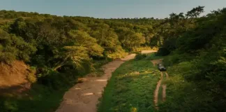 Cutting Through Carbon Footprint Guesswork: Verified Impact’s Free Knowledge Series for Tourism Cutting Through Carbon Footprint Guesswork: Verified Impact’s Free Knowledge Series for Tourism