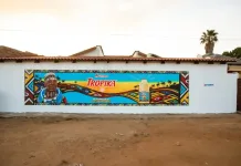 Tropika Celebrates South African Creativity with Dr Esther Mahlangu-Inspired Murals and Branded Taxis In Honour Of New Ginger Beer Flavour